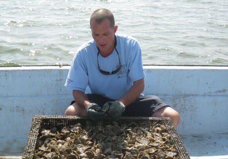 Oyster Company of Virginia