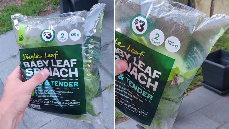 A Woolworths customer found a moth &quot;chilling&quot; in a bag of spinach. Source: Facebook