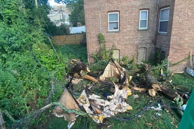 <p>GoFundMe</p> A tree that fell as a result of a storm in East Orange, N.J., on June 26, 2024