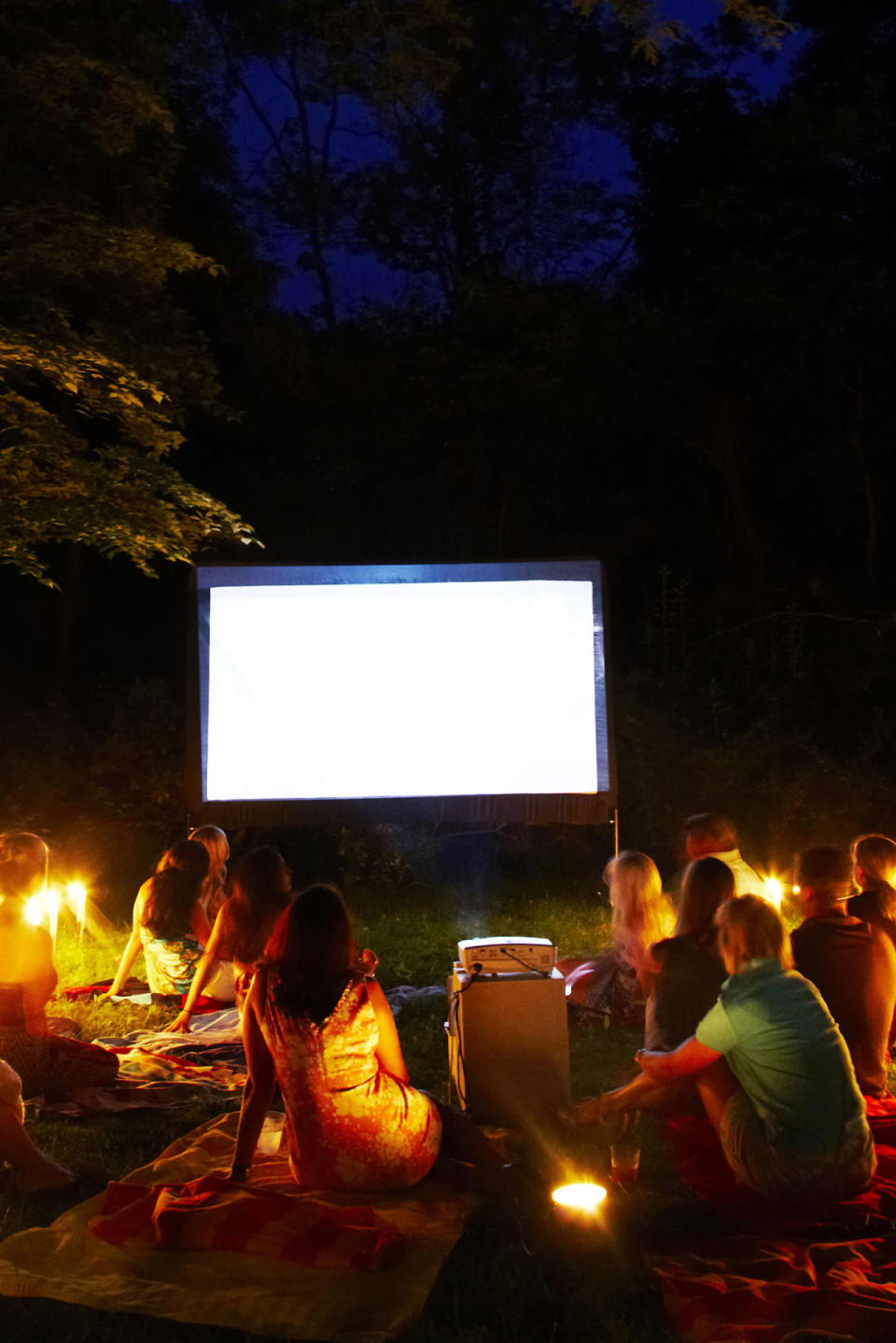 Host a backyard movie-night.