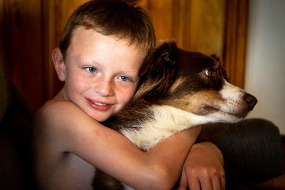 Abel Sewell, 6, who recently completed treatment for leukemia, hugs his dog Charlie at their home Monday, June 17, 2019, in Chattanooga, Tenn. Abel is one of at least 220,000 Tennessee children who lost or were slated to lose state insurance due to lacking paperwork in recent years.