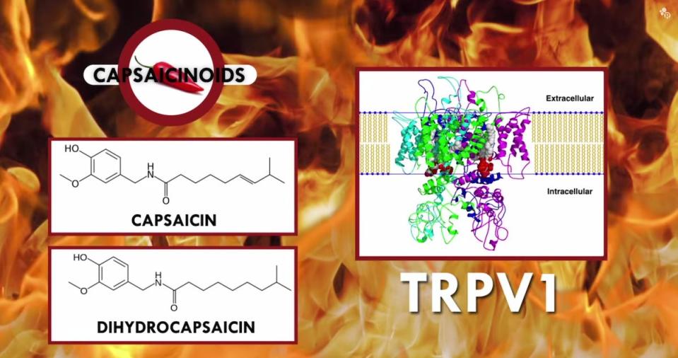 sriracha capsaicin