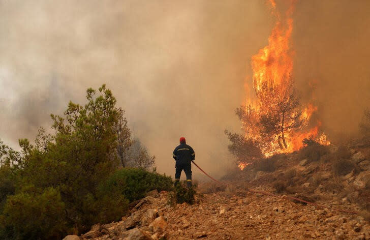 Wildfire burns in Kandyli near Athens