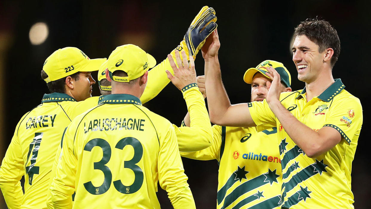 Pictured here, Australia's players celebrate during an ODI match against New Zealand.