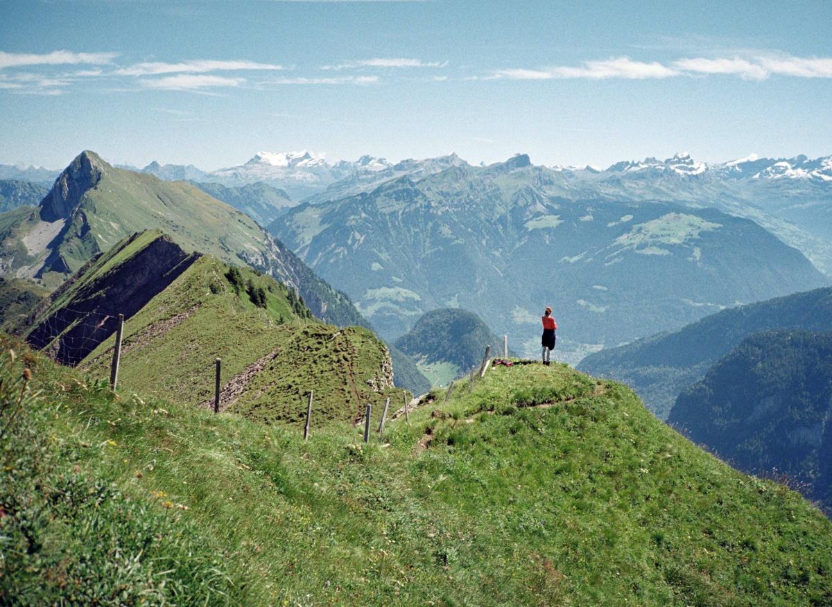 Die Schweiz nominiert den Film „A Piece of Heaven“ für den Best International Film Award