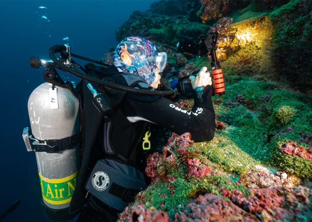 Sylvia Earle on a dive in the Galapagos