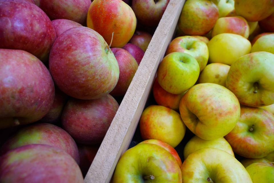 A variety of apples for sale at Linvilla Orchards that also offers lots of family fun where visitors can take hayrides, checkout a variety of farm animals, pick a pumpkins and many with many more fall activities.  
