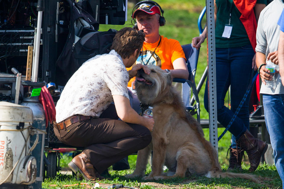 Ryan Gosling pets his late dog George