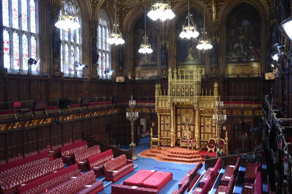 The House of Lords chamber (Eddie Mulholland/The Daily Telegraph/PA) (PA Archive)