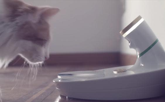 The Volta Mookkie recognizes your pets face with its in-built camera (Volta)