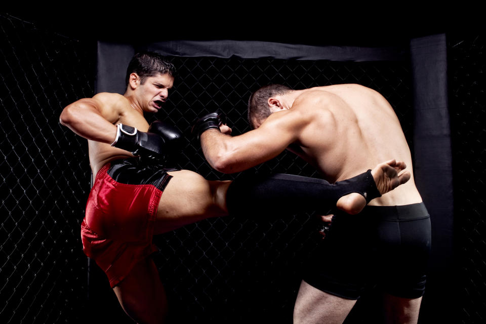 Two fighters in a mixed martial arts match.