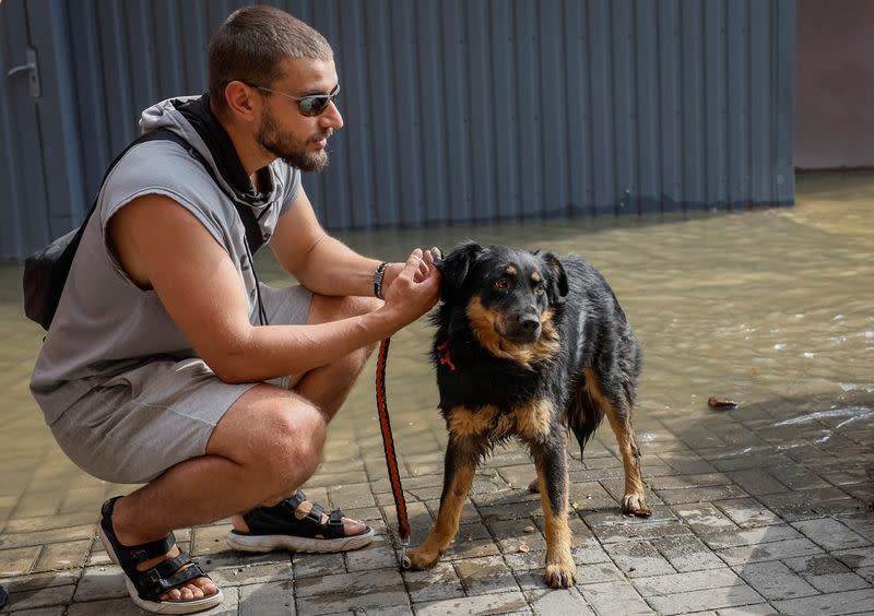 Evacuation of pets after Nova Kakhovka dam breach, in Kherson