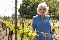 <p>In mid-May, the Duchess of Cornwall visited a stunning wine estate in Ditchling.</p>