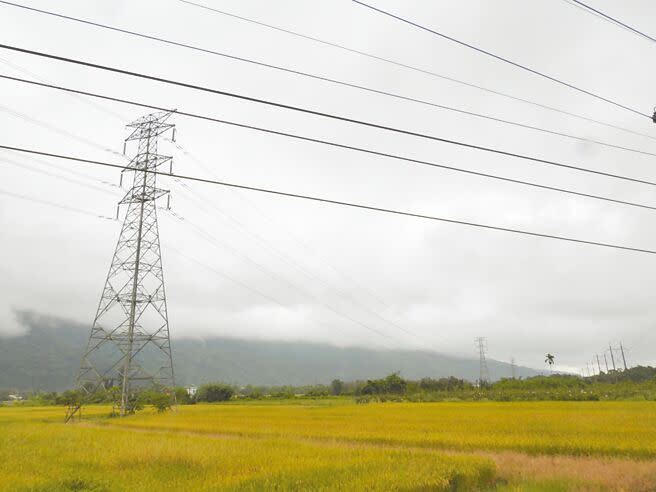 台電37年前在花蓮縣壽豐鄉樹湖村設置高達23座電塔，電纜、基座多位於平原農地，地主變賣不易，盼能逐步遷移電塔或將電纜地下化。（羅亦晽攝）