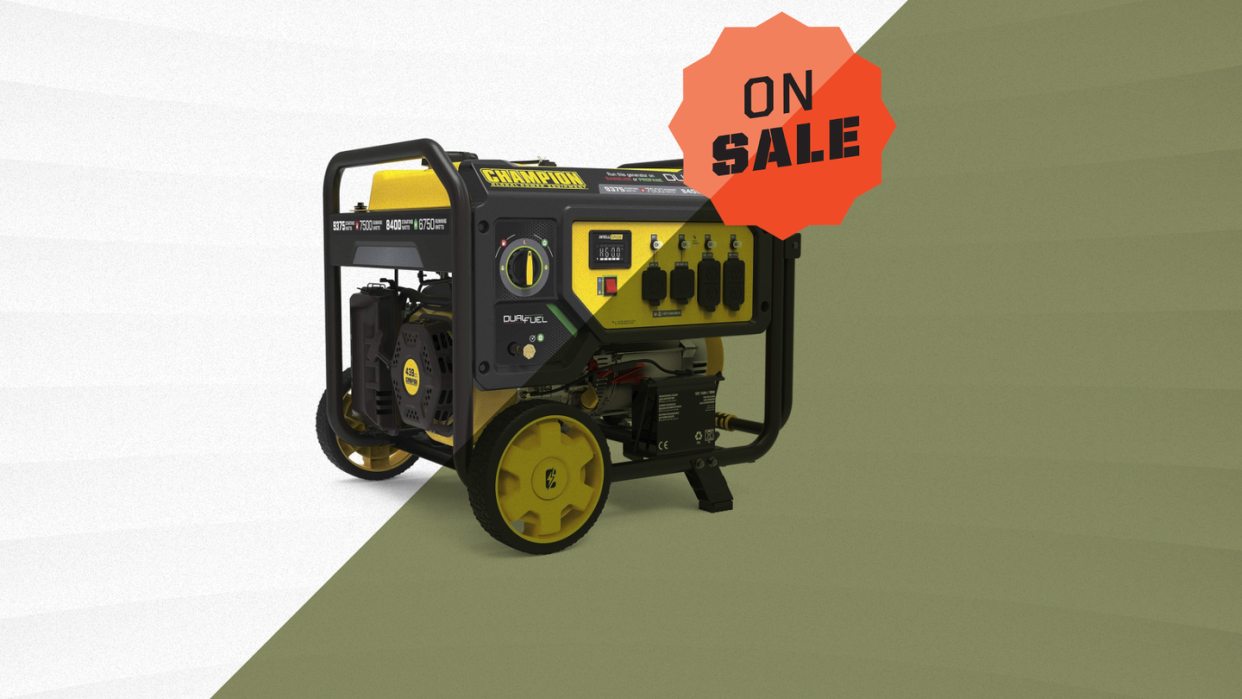 champion power equipment portable generator