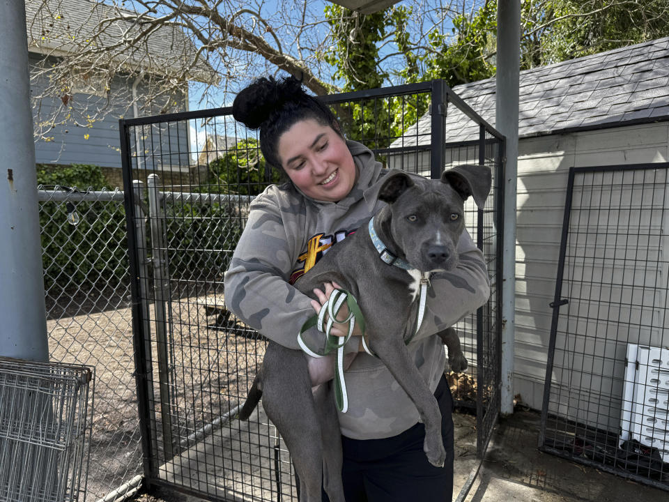 Volunteer Christina Aguilar holds a dog available for adoption at Oakland Animal Services on Thursday, April 4, 2024, in Oakland, Calif. The city animal shelter has seen a surge in pets surrendered by tenants who can't find rentals that allow pets. A bill in California wants to make more rental housing available to tenants with pets. (AP Photo/Terry Chea)