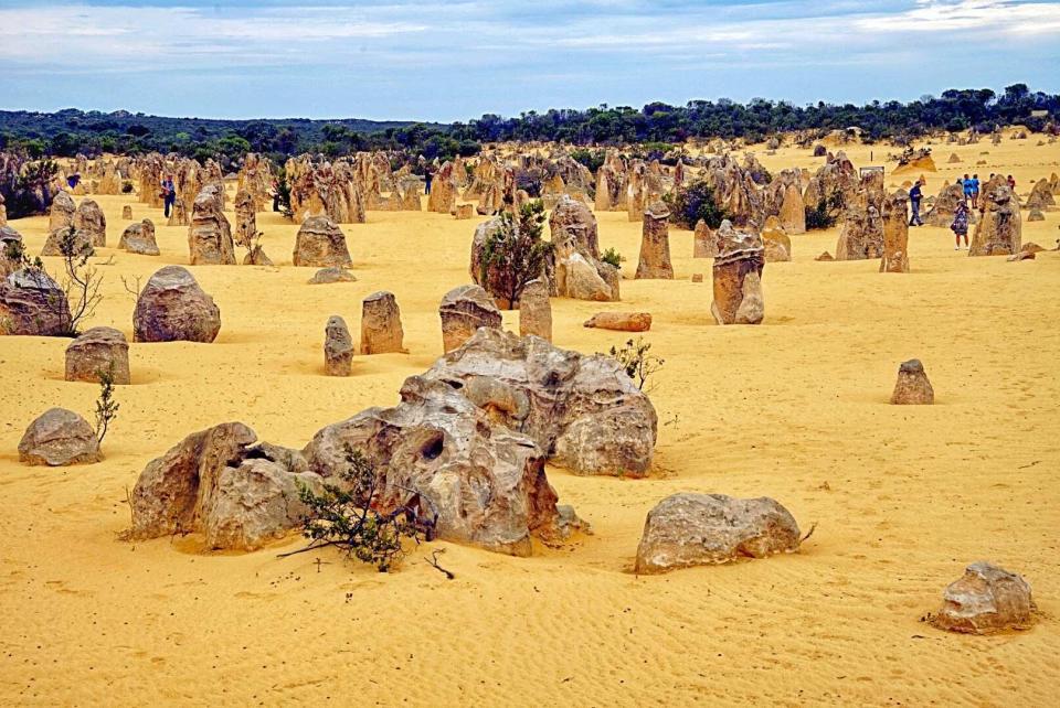 澳洲旅遊優惠低至3折現金券！西澳州旅遊局「漫遊夢土」優惠活動：體驗跳傘及觀鯨之旅低至33折