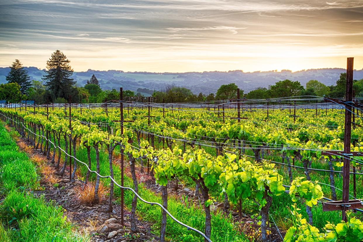 Sonoma County, California