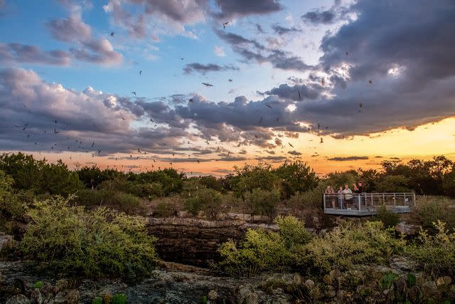 <p>Chase Fountain/Texas Parks & Wildlife Department</p>