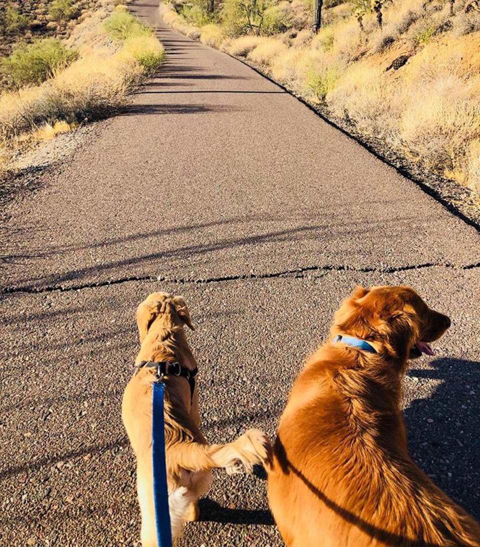 Ms Godwin was enjoying a hike when the reptile lunged at her. Source: Facebook/ Paula Godwin