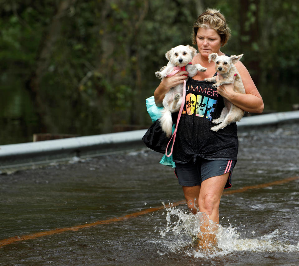 Lisa Shackleford carries her pet dogs Izzy (L) and Bella as she wades through flood waters while the Northeast Cape Fear River breaks its banks in the aftermath Hurricane Florence in Burgaw, North Carolina, U.S., September 17, 2018. REUTERS/Jonathan Drake