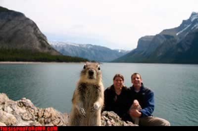 <b>Guckguck – hier bin ich!</b><br><br> Oh, no! Da wollte das Eichhörnchen mal ein hübsches Foto mit Seeblick von sich machen und dann drängen sich hinten die Touristen ins Bild. Oder war’s doch andersrum?