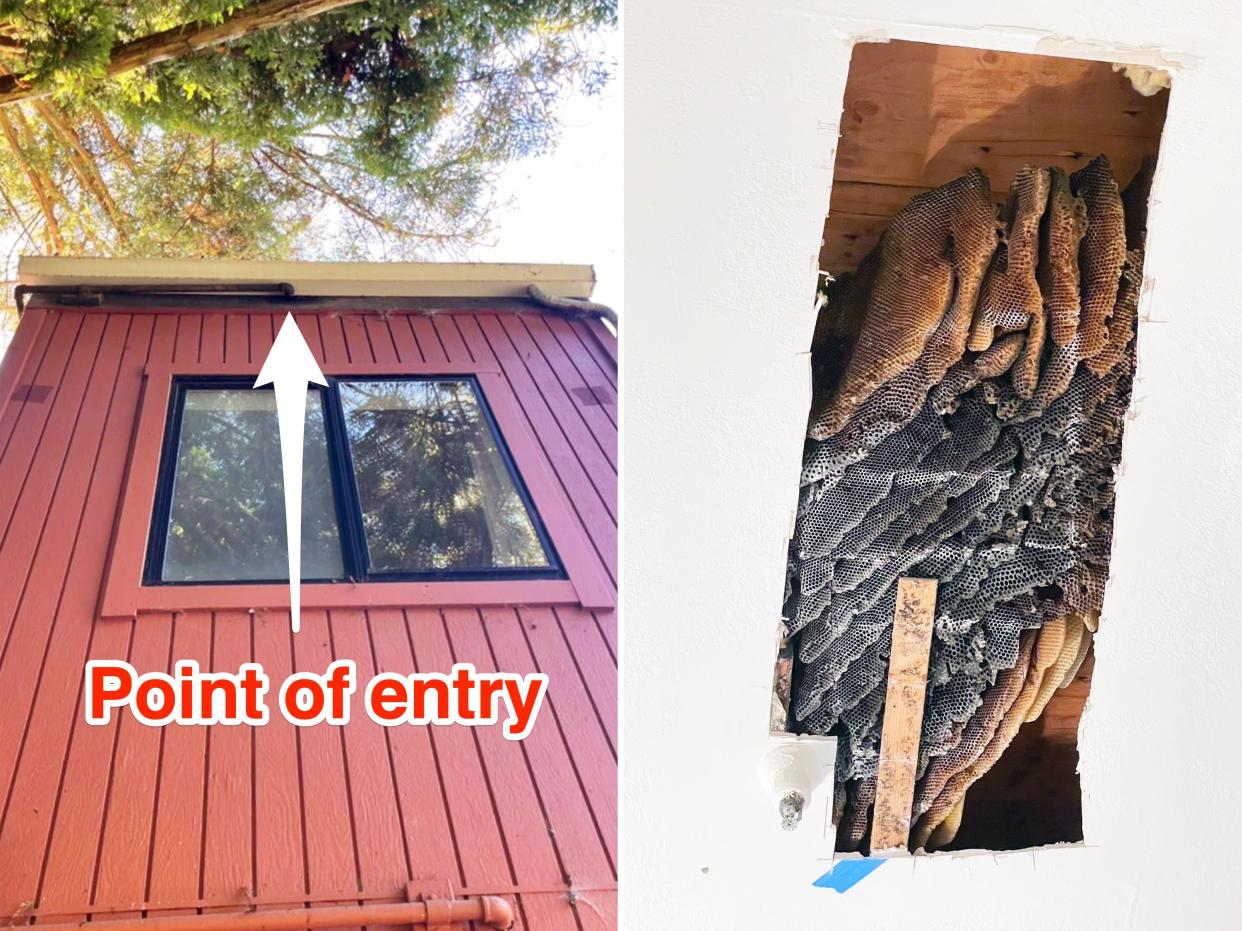 left: arrow over a photo of the outside of the red house points to the point of entry Right: the beehive in the ceiling