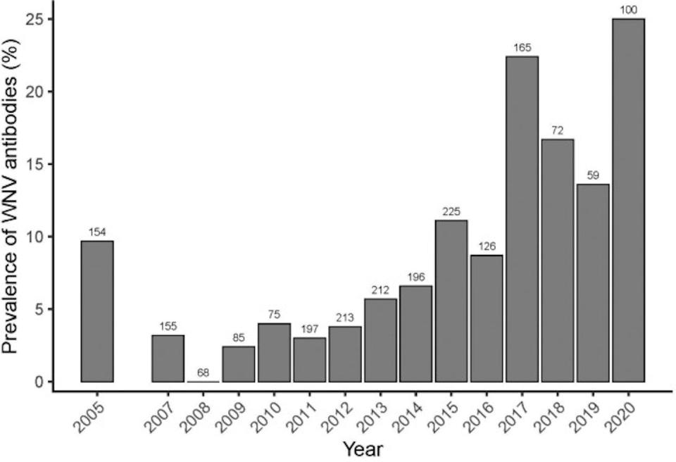 Evolución de la seroprevalencia (presencia de anticuerpos específicos en suero) frente al virus del Nilo Occidental en caballos de Doñana, desde 2005 hasta 2020. <a href="https://www.sciencedirect.com/science/article/pii/S2352771423000988" rel="nofollow noopener" target="_blank" data-ylk="slk:Los autores;elm:context_link;itc:0;sec:content-canvas" class="link ">Los autores</a>, <a href="http://creativecommons.org/licenses/by/4.0/" rel="nofollow noopener" target="_blank" data-ylk="slk:CC BY;elm:context_link;itc:0;sec:content-canvas" class="link ">CC BY</a>