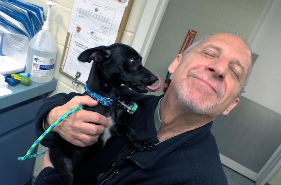 Sugar shares kisses with her new owner Mark Fligner, Gladstone , at the Northern Ocean County Animal Facility in Jackson Township Thursday, January 5, 2023.  He and his wife Jacqueline adopted the dog who was from the Brick hoarding home. 