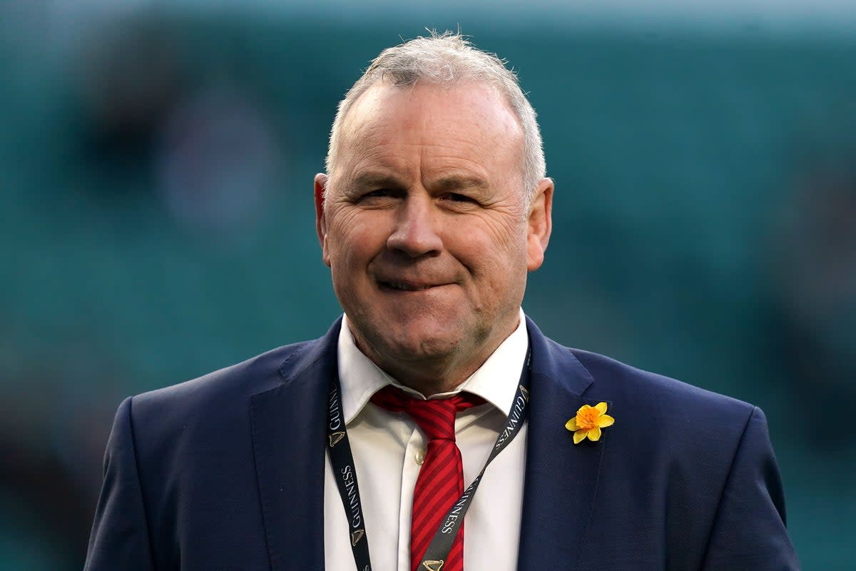 Wayne Pivac has been replaced by Warren Gatland (Mike Egerton/PA) (PA Archive)