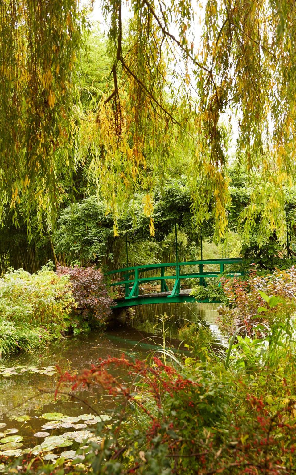 Monet spent some 35 years planting, replanting and felling trees in his garden in Giverny