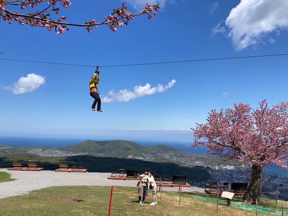 日本櫻花2024｜北海道賞櫻5大好去處！五稜郭公園粉紅五角星形城廓/心形絕景天狗櫻/7km櫻花大道+櫻花祭典