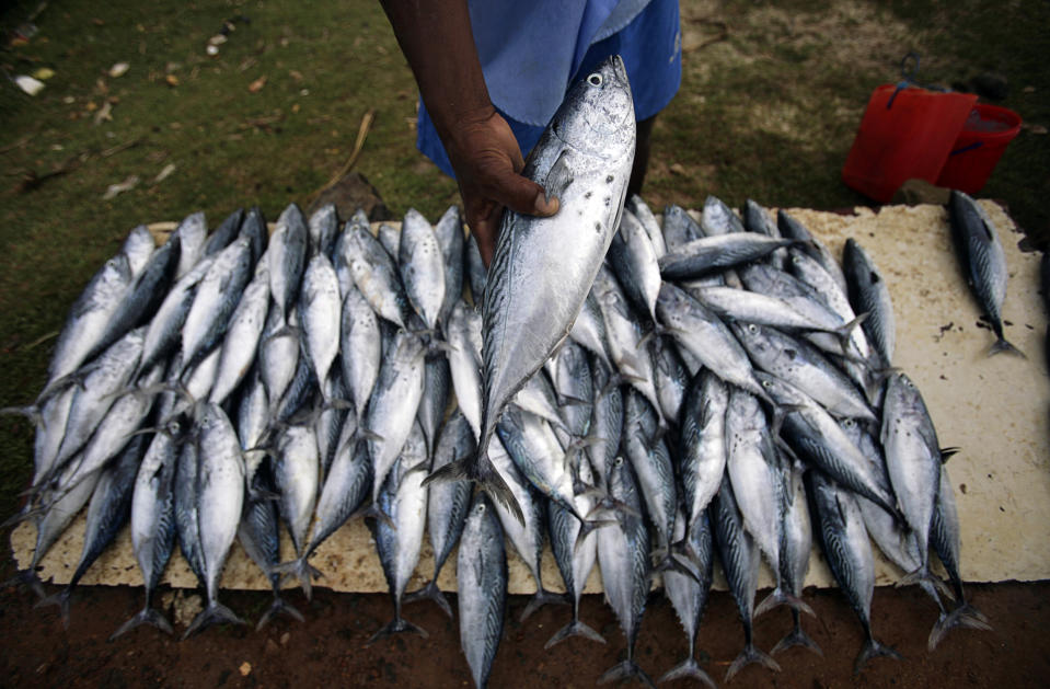 Fischerei ist ein enorm wichtiger Wirtschaftszweig in Sri Lanka. (Bild: REUTERS/Vivek Prakash)