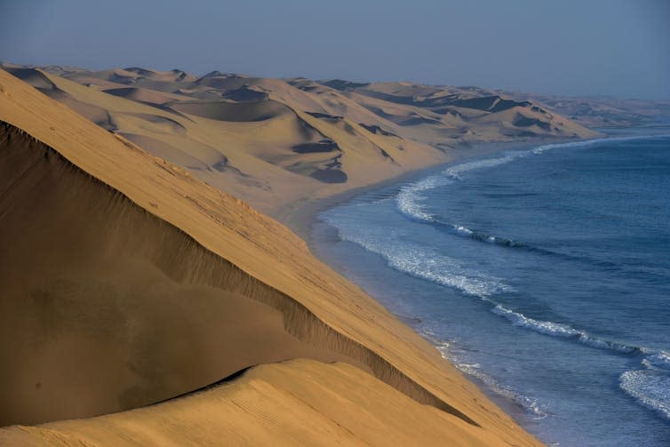 sand dunes on the beach