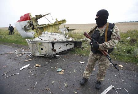 A pro-Russian separatist stands at the crash site of Malaysia Airlines flight MH17, near the settlement of Grabovo in the Donetsk region, July 18, 2014. REUTERS/Maxim Zmeyev