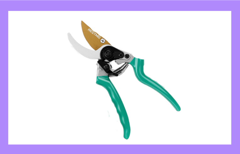 pruning shears