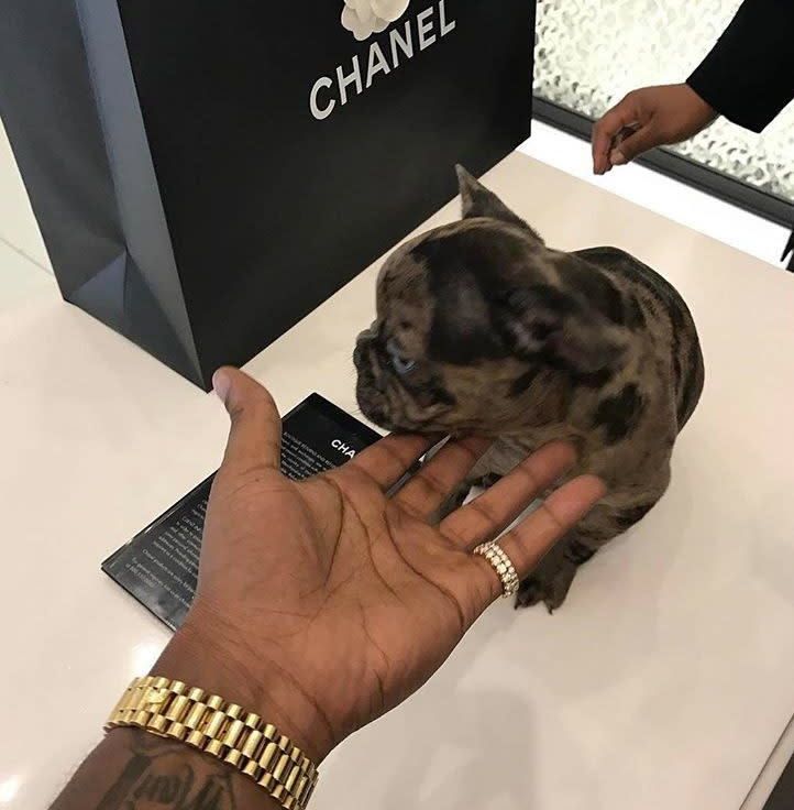 <p>„Chanel und ein Hundewelpe? Das sind die perfekten Geschenke, um sich zu entschuldigen“, ist sich dieser Herr sicher. Na, hoffentlich gefällt der Hund auch noch, wenn groß ist. (Bild: Instagram/theluxgoals) </p>