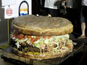 This enormous burger was produced at the 99th Annual Alameda County Fair in California, US. It helped to break the record for the world's largest commercially available hamburger in the process, weighing in at a whopping 777 lbs (352 kg). This is what the word 'supersize' was invented for.