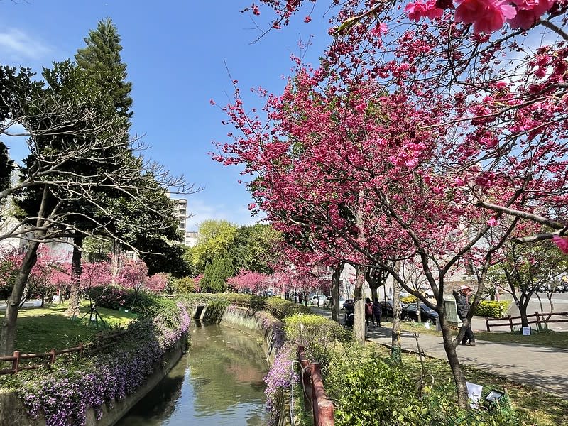 桃園中壢｜莒光公園