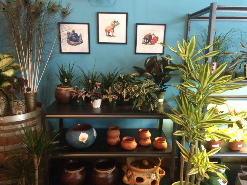Plants and gifts on display at La Alacran.