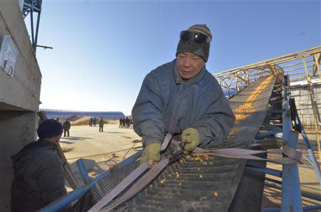 An employee works on the "Armada" farming project run by Dongning Huaxin Group near the far eastern Russian town of Ussuriysk November 13, 2013. REUTERS/Yuri Maltsev