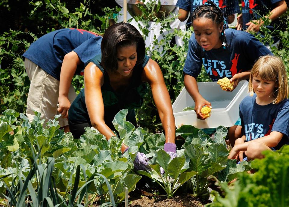 michelle obama works with students in the white house vegetable garden