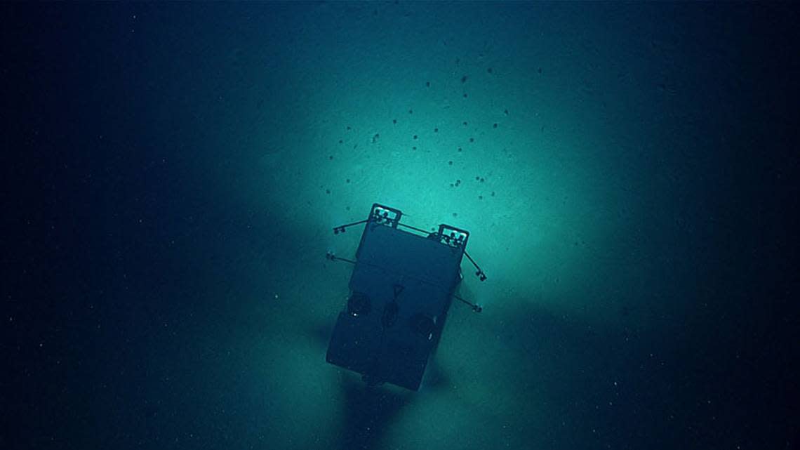 Researchers observed the congregation using a remotely operated vehicle named Deep Discoverer. The small dots in front of the vehicle are sea urchins.