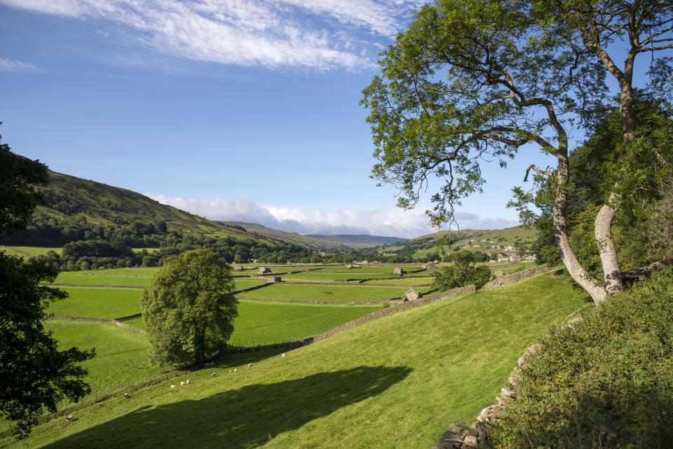 Green fields in the bottom of the valley near the village of Gunnerside in North Yorkshire on a sunny September day.