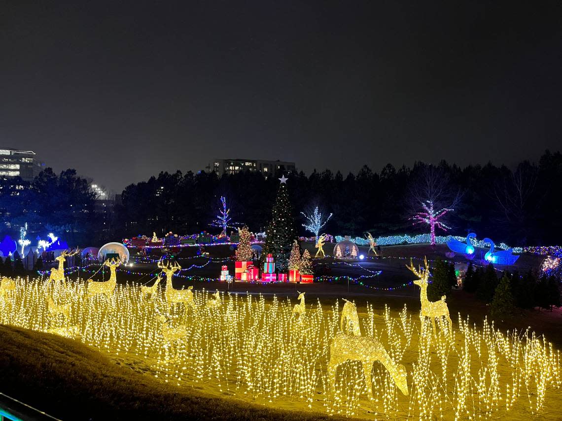 24 free and cheap things to do in Charlotte Holiday lights, movie