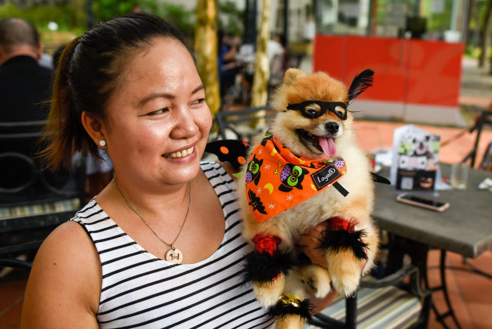 <p>The winner of the best dressed Halloween outfit, Furby the Pomeranian. (Photo: Bryan Huang/Yahoo Lifestyle Singapore)</p>
