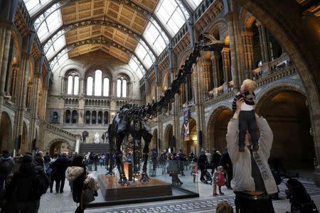 Visitors look a Dippy the diplodocus at the Natural History Museum in London, Britain January 4, 2017. REUTERS/Stefan Wermuth