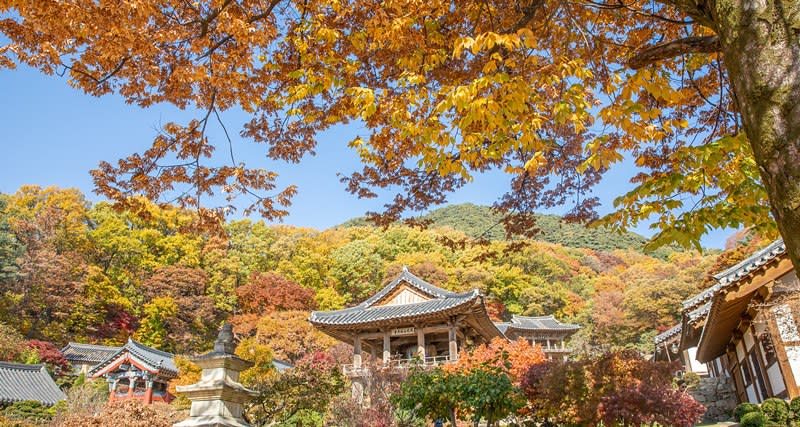 韓國十大名剎～浮石寺