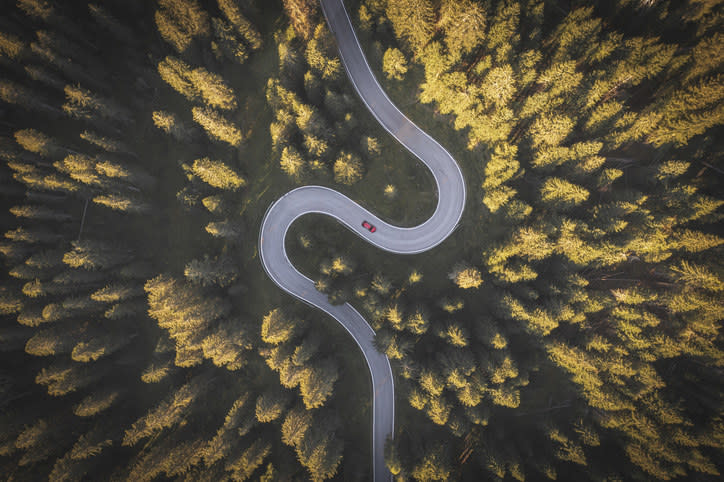 Aerial view of a car driving in a forest