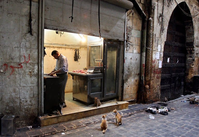 View of a souq in the center of the old city of Aleppo, northern Syria, in 2008. Protests for greater freedoms spread Wednesday to Aleppo, Syria's second city, where hundreds of university students clashed with police and a smaller protest took place in the capital, rights activists told AFP by telephone